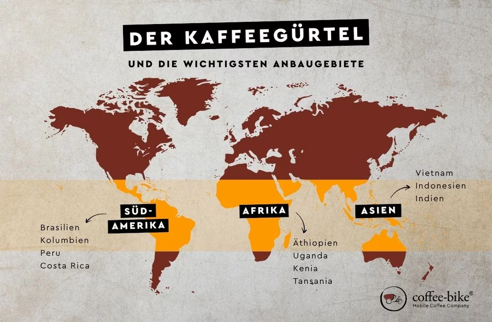 Herkunft und Anbau: Wo die Qualität eines guten Kaffees beginnt